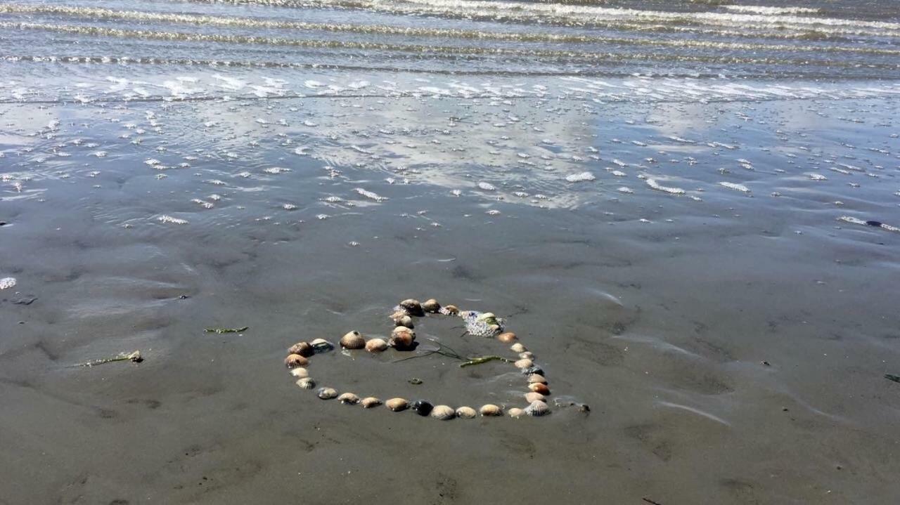 Strandhaus Kleine Perle Büsum Zewnętrze zdjęcie